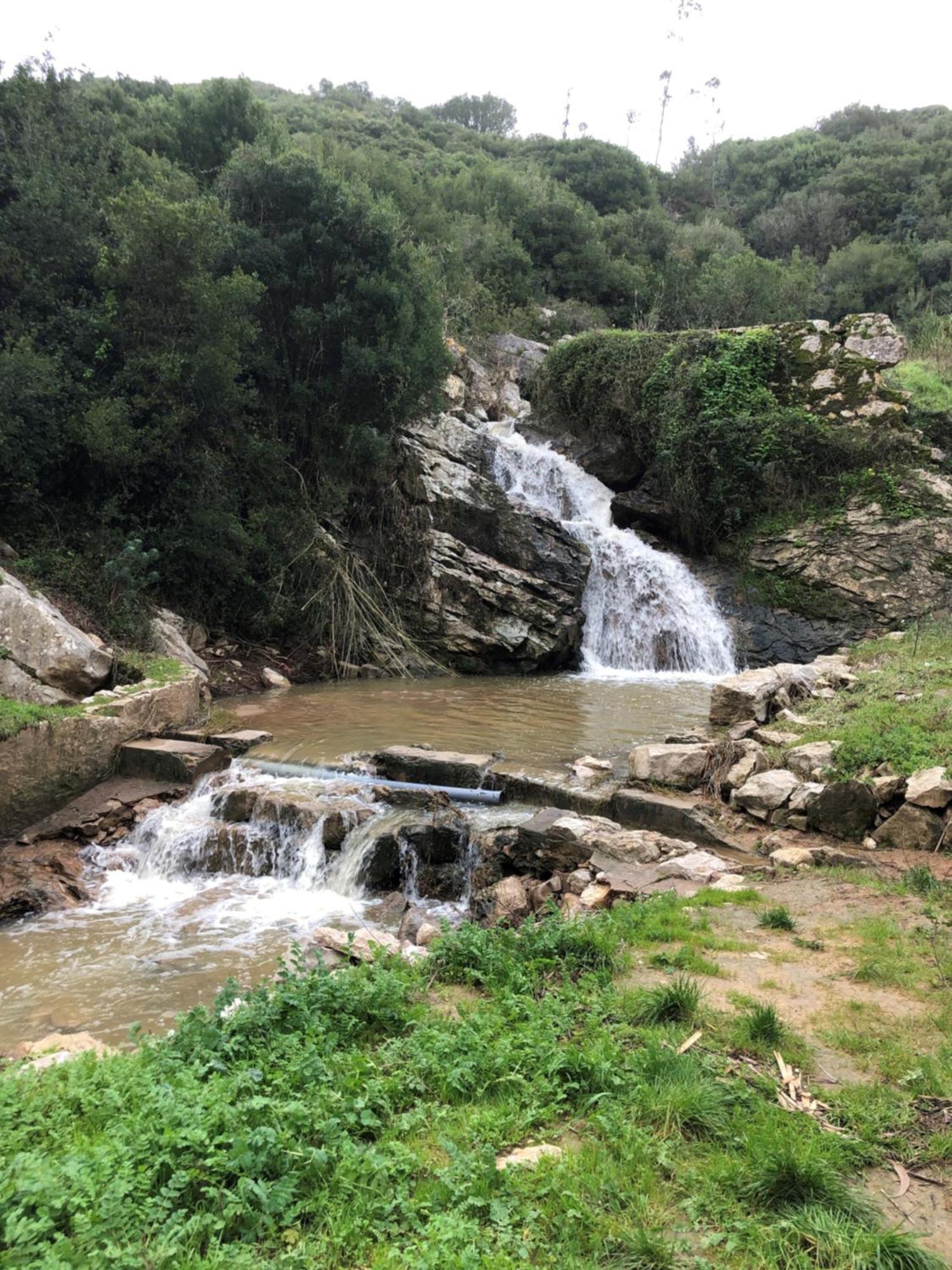 Quinta Do Espelho D'Agua, Estudio Reguengo Grande Ngoại thất bức ảnh